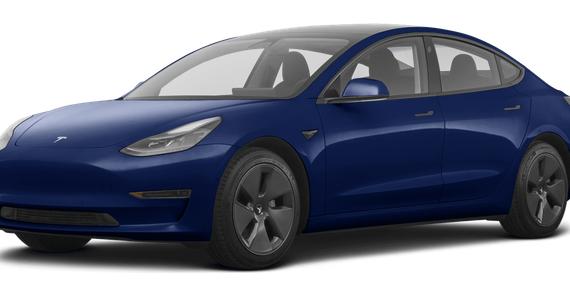 TESLA MODEL 3 2021 5YJ3E1EA0MF100581 image